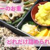 2025年版：ダイソーのお重(重箱)で作るおせち！何人前が入るの？