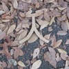 「人」ってブーメランになるんじゃね？