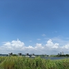 行徳ハゼ