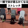 【一瞬で体が柔らかくなるストレッチ】