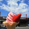 田舎館村【カフェ食堂田さ恋】真っ赤なとちおとめのいちごソフトと日替わりランチ♪