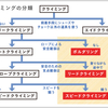 【おすすめ】小学生の習い事に！ボルダリングが大人気なワケ