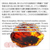 GRAは“支援” の塊です「データ処理」/ GRA is mass of Support "Data Processing"