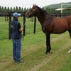 2006年ダービー馬 メイショウサムソン死去