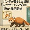 「レッサーパンダが新たな主役に」白浜アドベンチャーワールド、旧パンダ舎で7月19日から展示開始