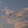 月山・秋田駒の旅　・・　アルバム