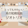 ジオトリオは初めての知育おもちゃとしておすすめ！実際に遊んでみての成長など