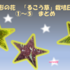 星形の花　「るこう草」栽培日記①～⑤　まとめ