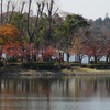 2016.11.16 水戸 偕楽園公園のもみじ谷