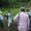 軽井沢の自然と浅間山の高山植物