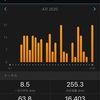 4月の走行距離と大凧マラソン(擬似)完走について