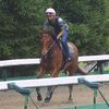 ビシビシとはやられていないも、坂路での併せ馬は常に優勢。２６日の東京・芝１４００（牝馬）でデビューすることとなりました。☆スターリーナイト