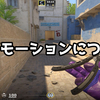 【CS2】レアモーションについて【解説】