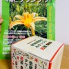 更年期不眠の新しい味方