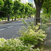 2024年5月17日（金）　もう一週間が経つのか…（ため息）