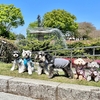 【春散歩】2023/4：昭和記念公園②　ボクの好きの表現（愛犬の話）