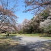 4月の滝山公園に行ってきました その1