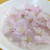 桜のおしべの色変わる頃