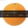 Jetson Nanoの推論チュートリアルでGPUが動いていることを確認した話