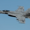 3月14日 横田基地 VFA-115 Eagles, VFA-27 Royal Maces FA-18E