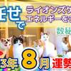 【数秘⑧の方へ】2023年8月運勢