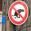 犬のフンを始末できないドイツ人