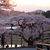 残雪の安達太良山を背景に咲く一本桜。“名もなき桜”が地域の象徴に