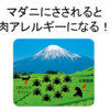 とてもかかりたくない病気がTwitterで流れてきたが耐性があった　ほか