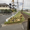 ひたちなか海浜鉄道　国営ひたち海浜公園延伸までの誘客策を考える