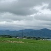 散歩と空と草花と