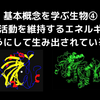 基本概念を学ぶ生物④_生命活動を維持するエネルギーはどのようにして生み出されるのか？