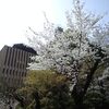 評議員会