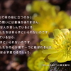 こころの道しるべ（255）祈らずにいられない