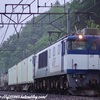 1095レ 鹿島貨物(EF64-1003)