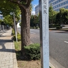茱萸坂（千代田区）