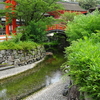 下鴨神社（賀茂御祖神社）と「さざれ石」