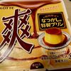 プリン味の爽がめちゃうま！！ [ロッテ 爽 懐かしの特製プリン]