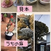 岡山市 足守プラザ １月の陶芸教室 お雛さまを作りました♪