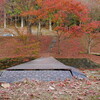 印象派「#モネ」が描いたような紅葉　― 「#タカドヤ湿地」（豊田市の紅葉 #1)―