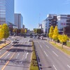  銀杏の秋（12）土浦学園線～つくば市とその周辺の風景写真案内（６０５）