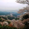 2016年4月10日(日)　吉野・青根ヶ峰から満開の上千本、中千本へ