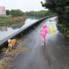 雨漏りの原因