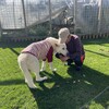 懐かしい愛犬バディの思い出