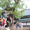 【鎌倉いいね】本日は八幡様で流鏑馬を生まれて初めて見ました。