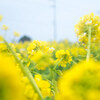 【写真】最近の写真撮影（2018/3/3)なぎさ公園