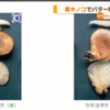 ツキヨタケ