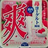 いちごヨーグルト風味　アイスクリーム