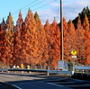 日本武尊、東征の道程③「坂戸神社」-「小鷹神社」-「小高神社」-「羽雄神社」-「泉瀧寺」-「亀山神社」