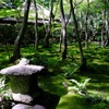 54.京都 週末旅行3 奥嵯峨野 祇王寺