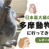 【多摩動物公園】大人の足でも１周１時間半( ﾟДﾟ)緩い坂道でも結構ハードだった？「おやつは３００円まで」を思い出す
